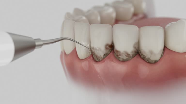 Reliable Dental contractor in South Gull Lake, MI by Dentist Open Now
